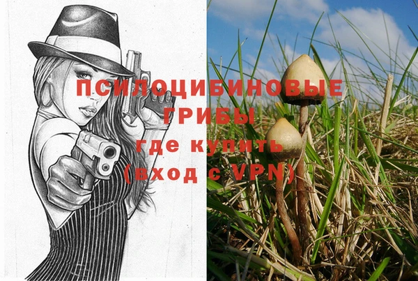 Альфа ПВП Алексеевка