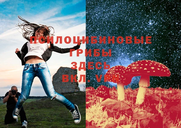 Альфа ПВП Алексеевка
