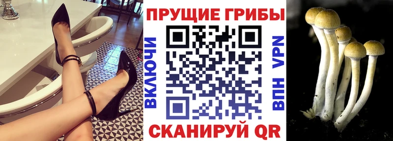 Псилоцибиновые грибы ЛСД  Еманжелинск 