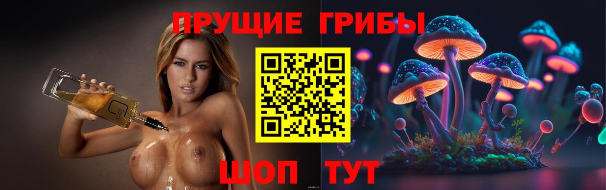 Галлюциногенные грибы GOLDEN TEACHER  закладка  Еманжелинск  Вход с VPN  Псилоцибиновые грибы Psilocybine cubensis 